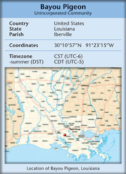 Bayou Pigeon, Louisiana State Map